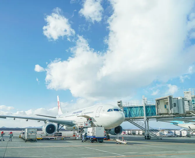 ИЗМЕЛЬЧИТЕЛЬ