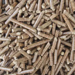Wood pellet