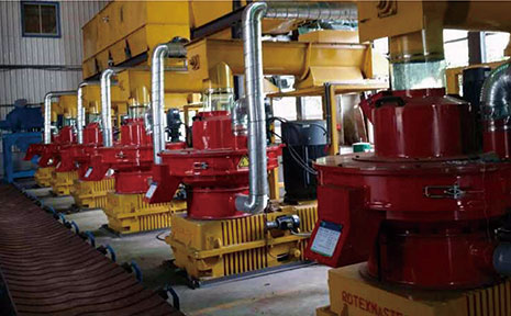 Taiwan 10t/h Wood Pellet Production Line