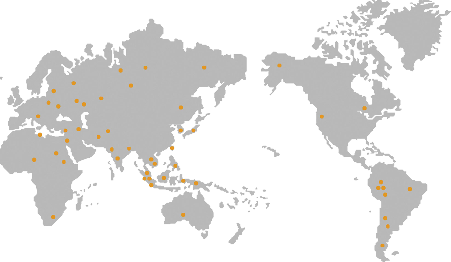 МАРКЕТИНГОВАЯ СЕТЬ
