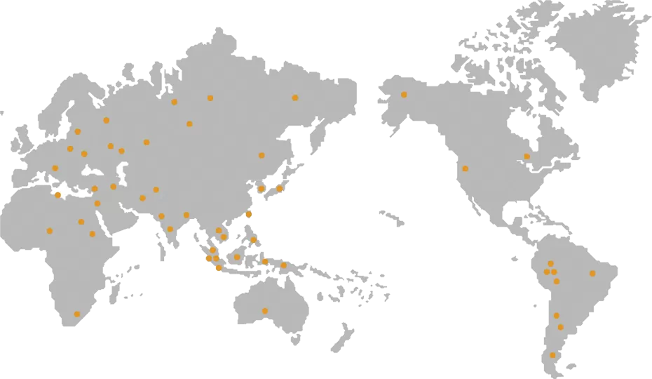 МАРКЕТИНГОВАЯ СЕТЬ